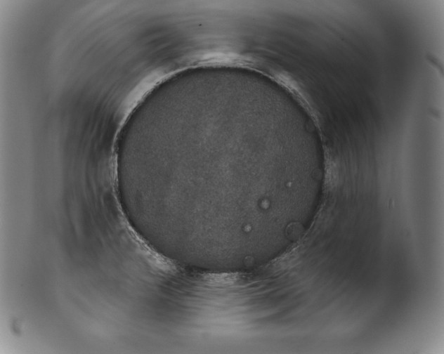 X0000102241376200808081426