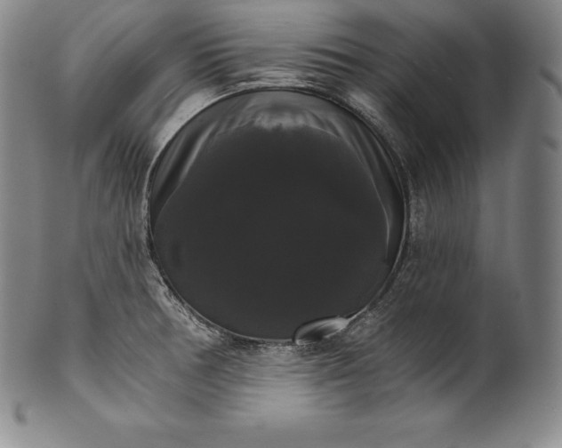 X0000102241378200808081426