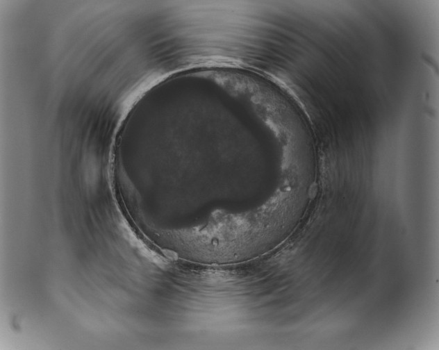 X0000102241379200808081426