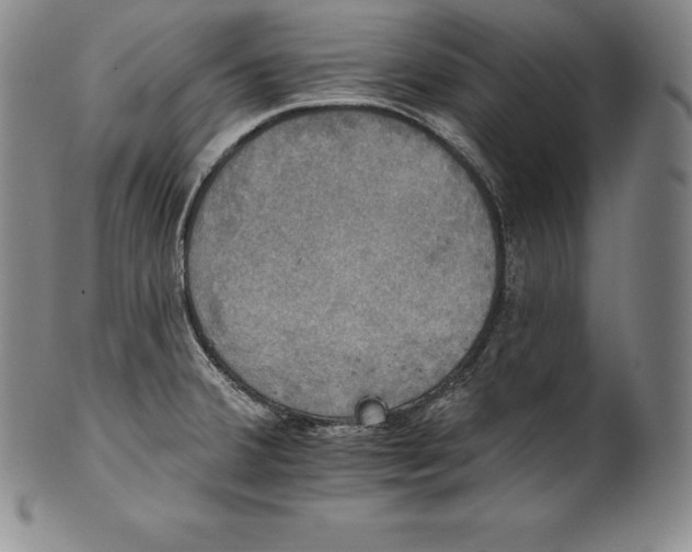 X0000102241380200808081426