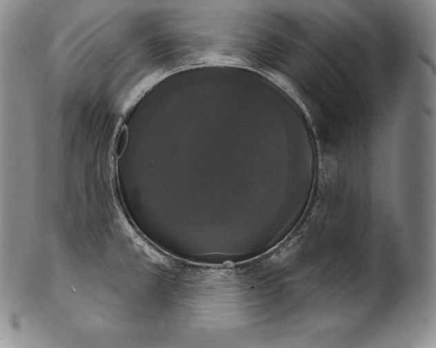 X0000102241381200808081426