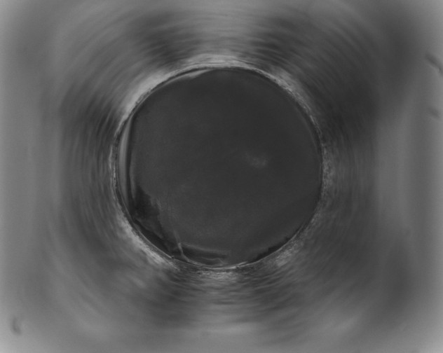 X0000102241382200808081426