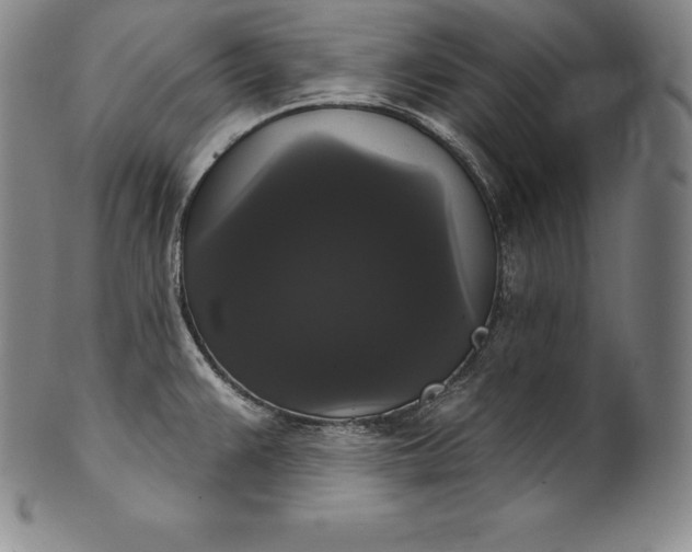 X0000102241383200808081426