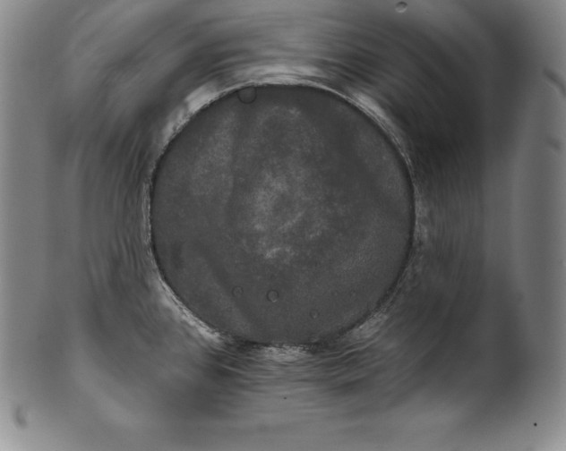 X0000102241384200808081426