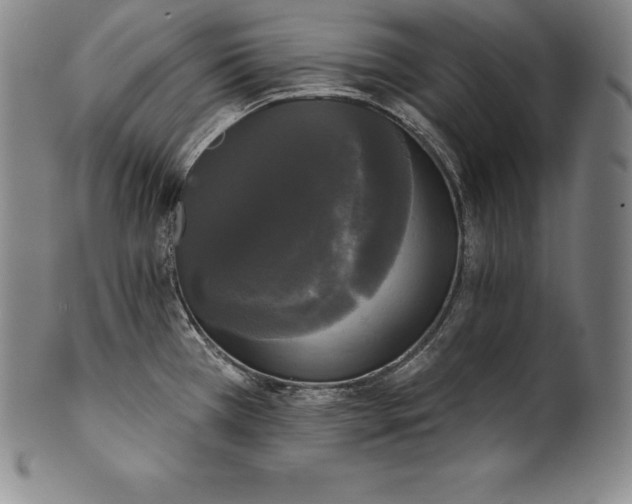 X0000102241385200808081426