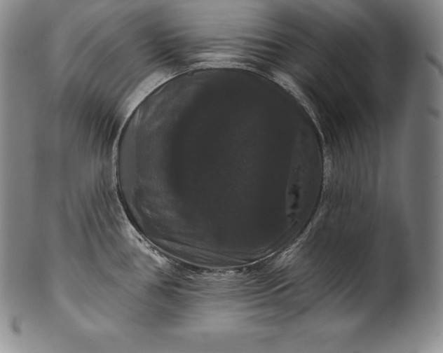 X0000102241386200808081426