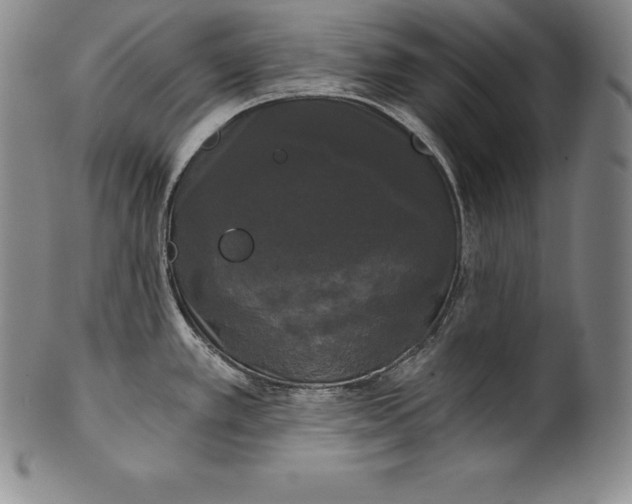 X0000102241389200808081426