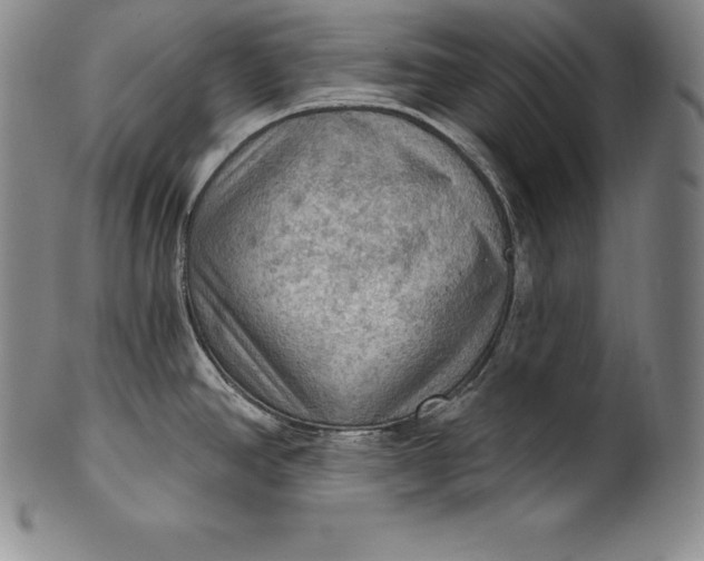 X0000102241390200808081426