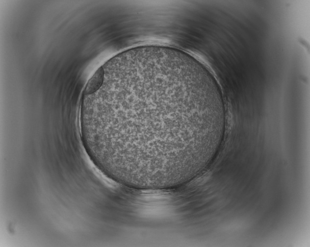 X0000102241391200808081426