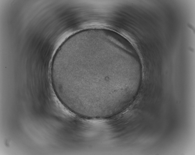 X0000102241392200808081426