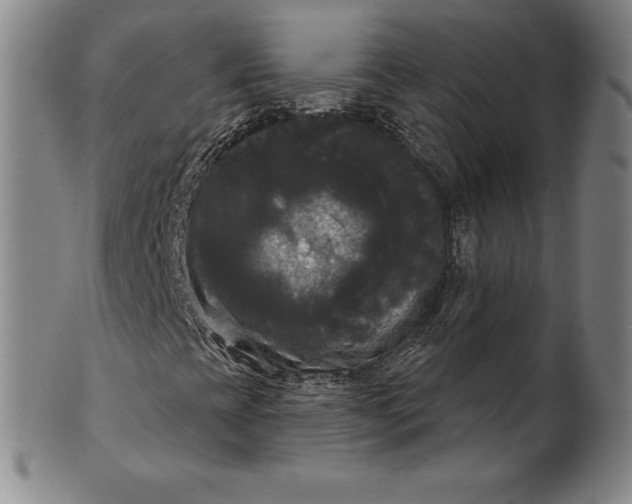 X0000102241393200808081425