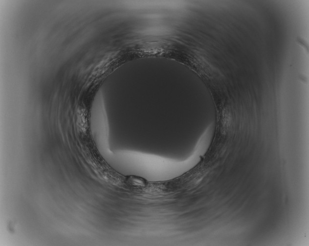 X0000102241394200808081425