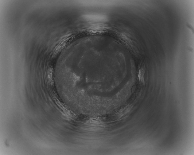 X0000102241396200808081425