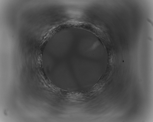 X0000102241397200808081425