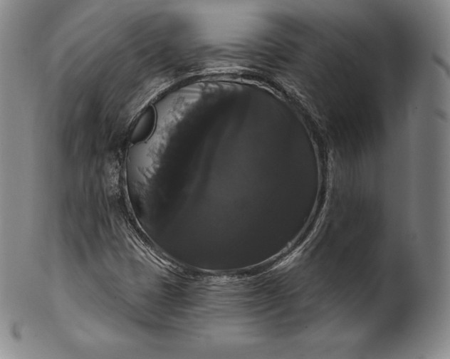 X0000102241401200808081425