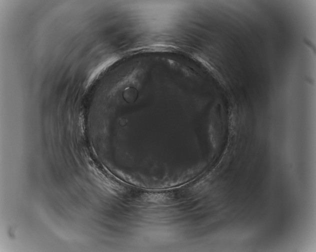 X0000102241402200808081425