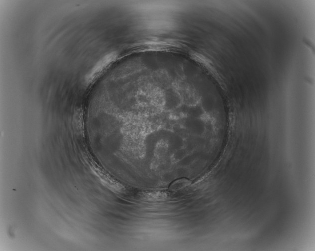 X0000102241403200808081425