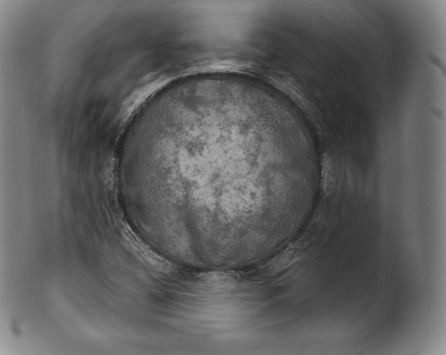 X0000102241404200808081425