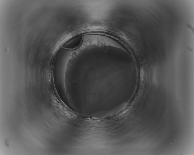 X0000102241405200808081425