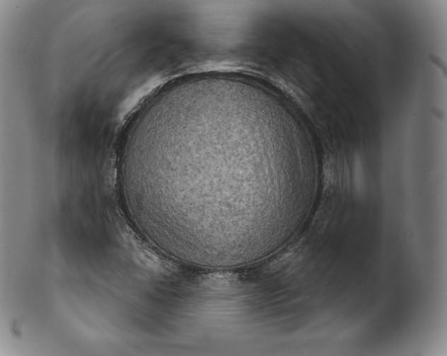 X0000102241406200808081425