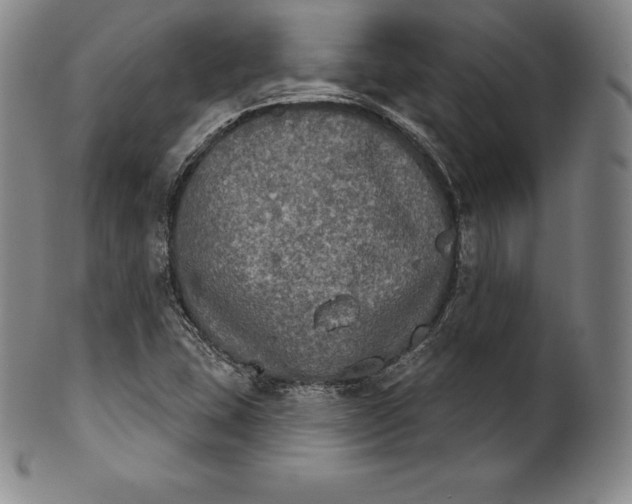 X0000102241407200808081425