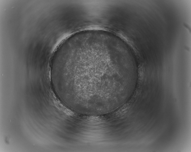 X0000102241408200808081425