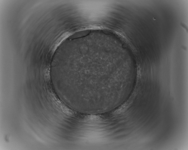 X0000102241409200808081425