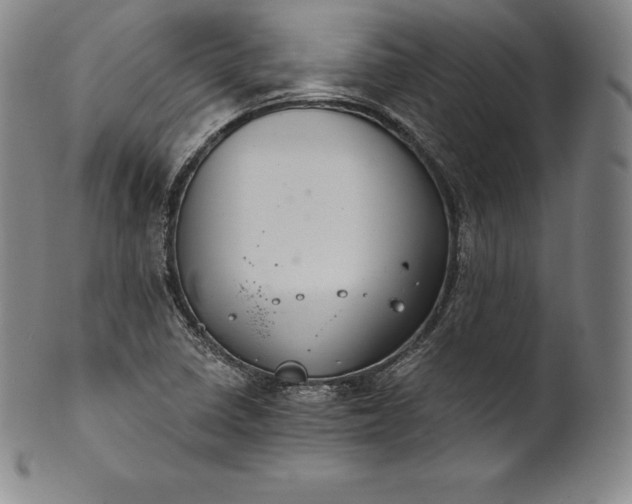 X0000102241410200808081425