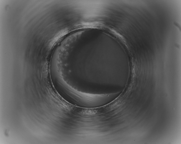 X0000102241411200808081425