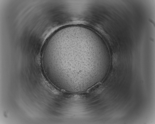 X0000102241412200808081425