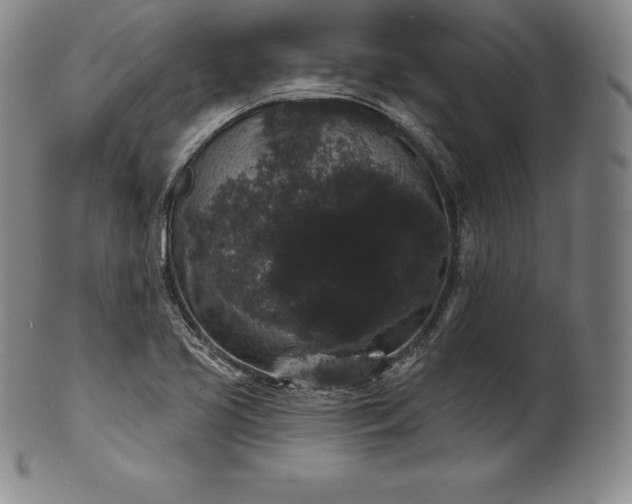 X0000102241413200808081425