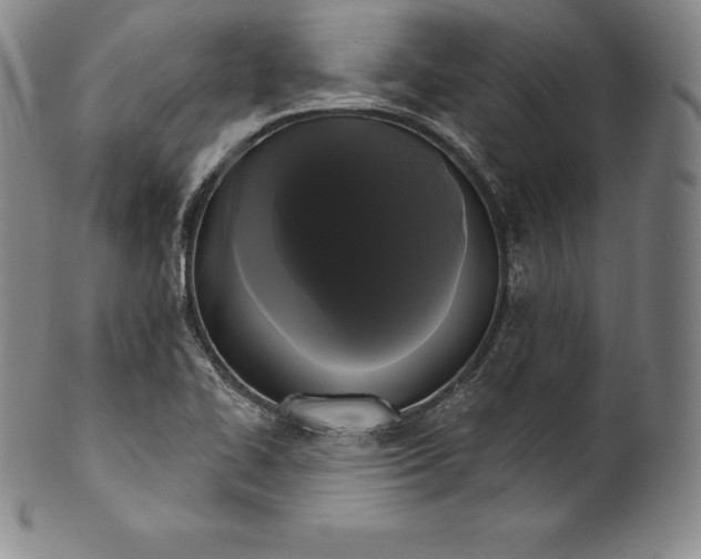 X0000102241414200808081425