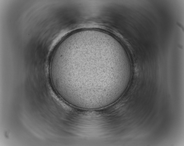 X0000102241416200808081425