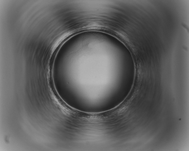 X0000102241418200808081425