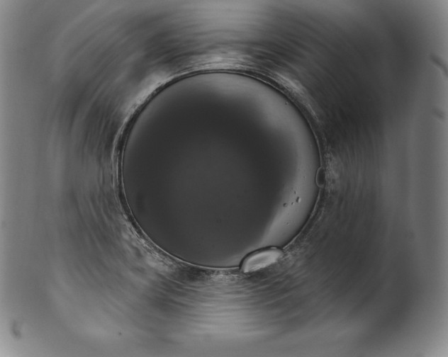 X0000102241419200808081425