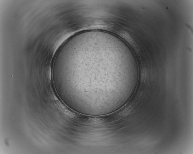 X0000102241420200808081425