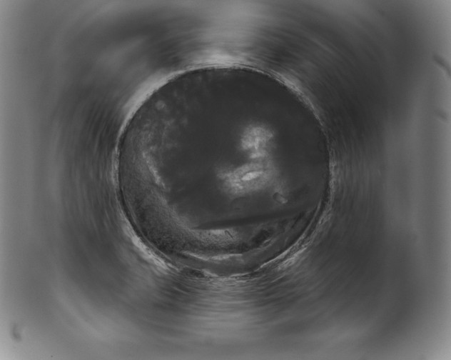 X0000102241421200808081425