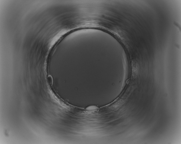 X0000102241422200808081425