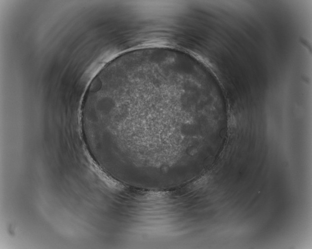 X0000102241423200808081425