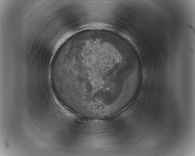 X0000102241424200808081425