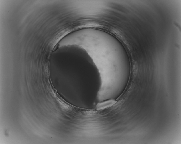 X0000102241425200808081425