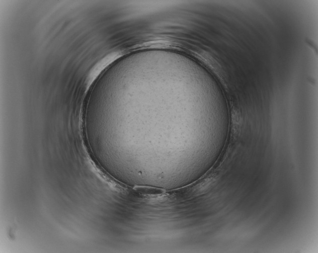 X0000102241426200808081425