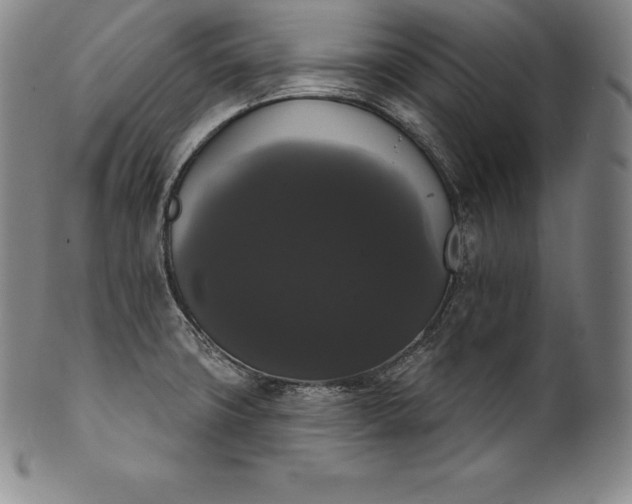 X0000102241427200808081425