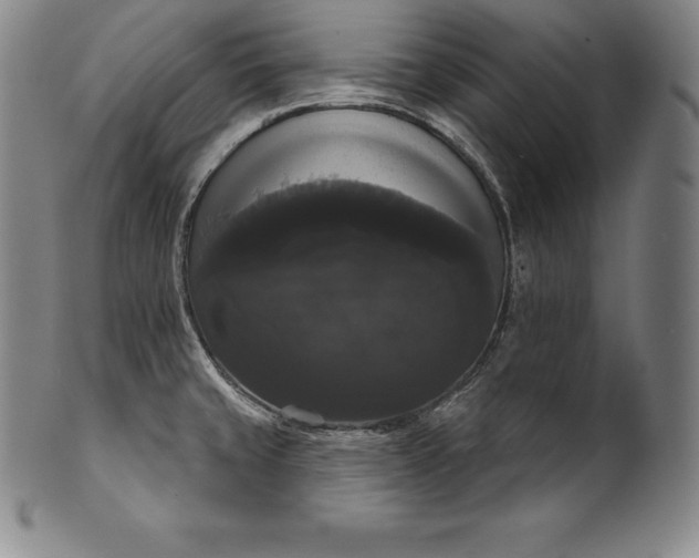 X0000102241429200808081425