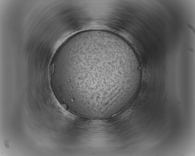 X0000102241430200808081425