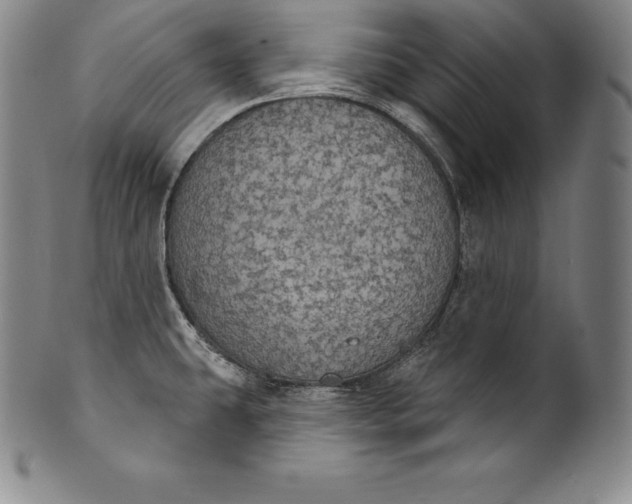 X0000102241431200808081425