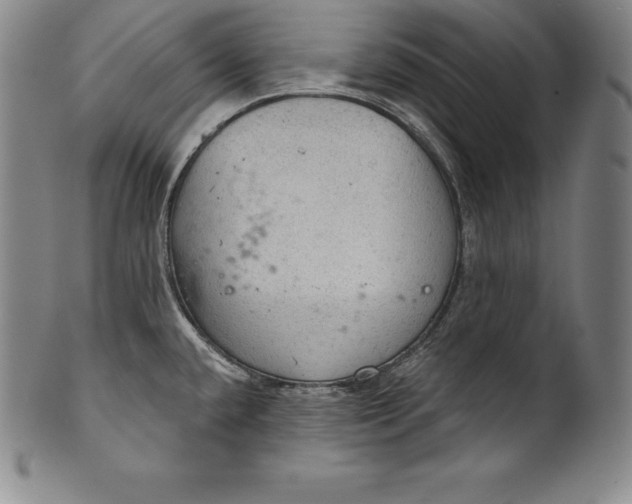 X0000102241432200808081425