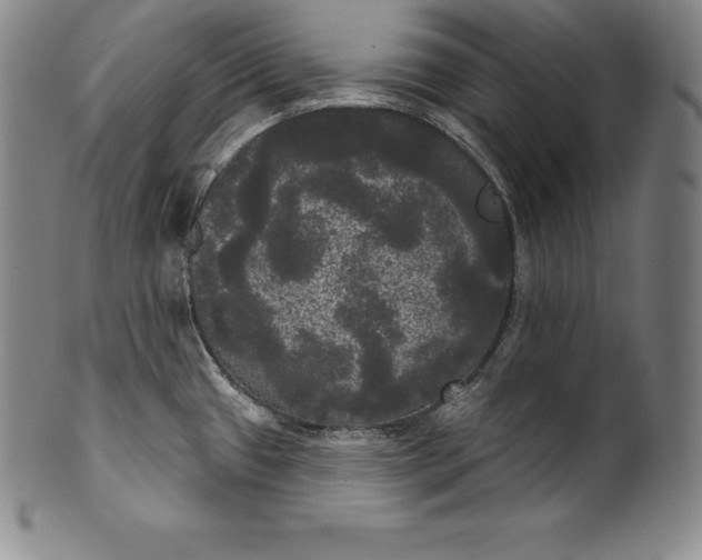 X0000102241433200808081425