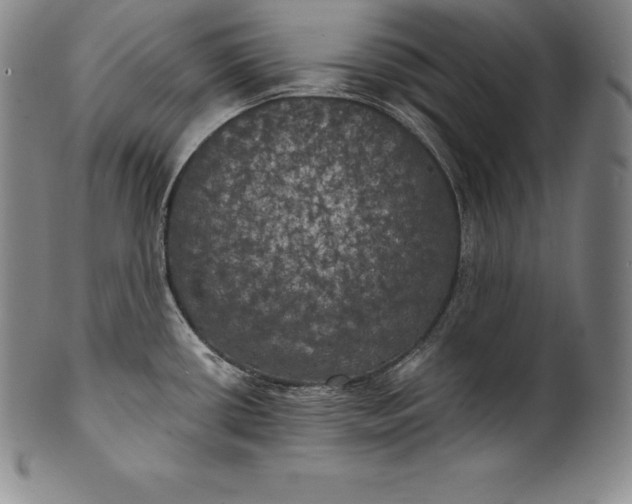 X0000102241434200808081425