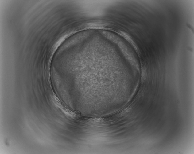 X0000102241435200808081426